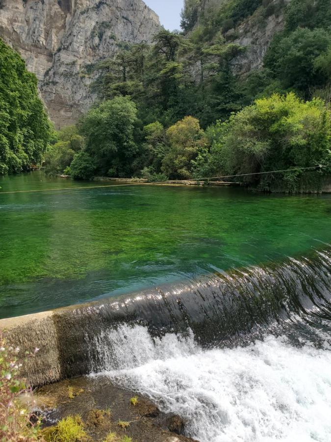 Отель La Fontaine Au Loup Saint-Maurice-sur-Eygues Экстерьер фото