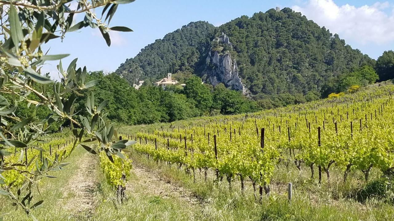 Отель La Fontaine Au Loup Saint-Maurice-sur-Eygues Экстерьер фото