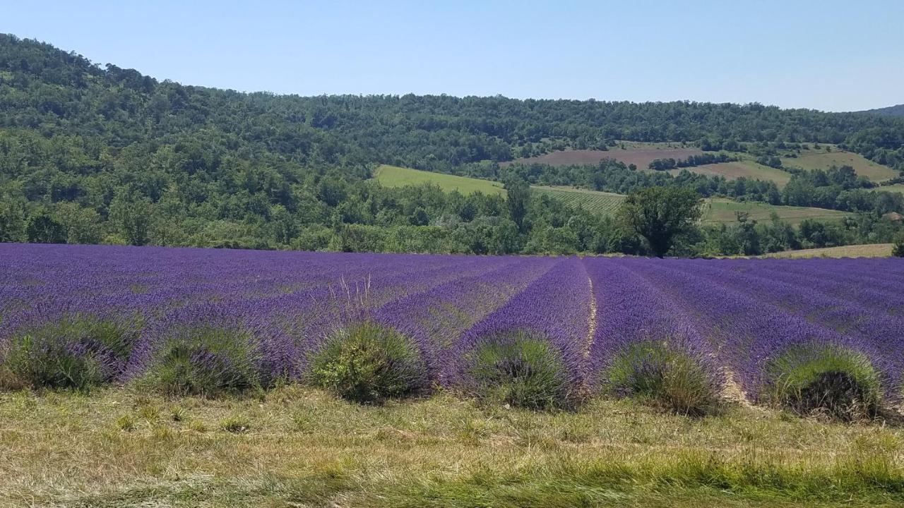 Отель La Fontaine Au Loup Saint-Maurice-sur-Eygues Экстерьер фото